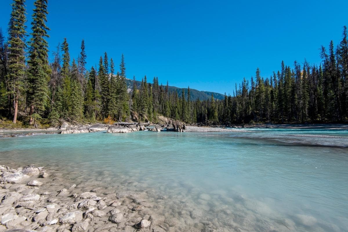 Река Пинающая Лошадь