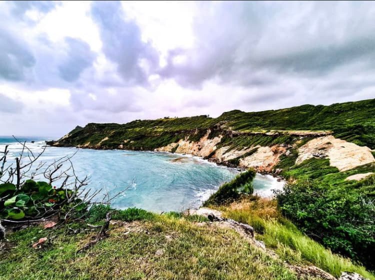 recommendation image