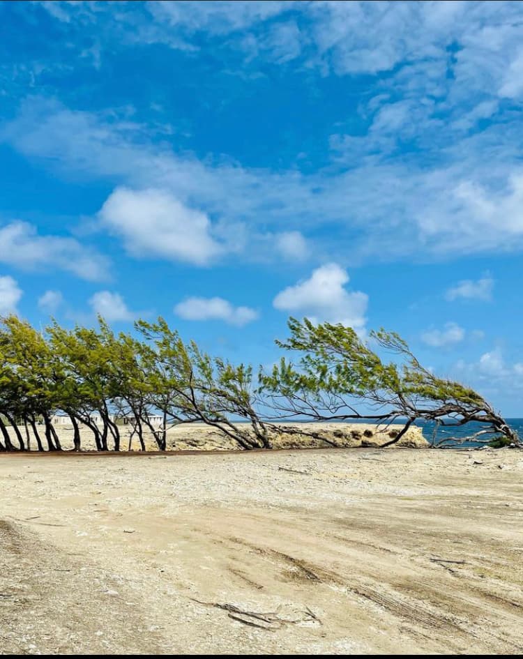 recommendation image