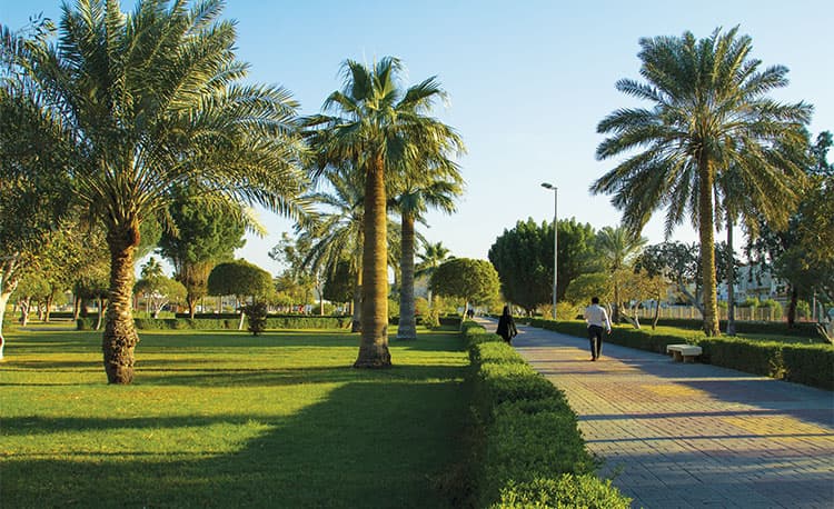 recommendation image